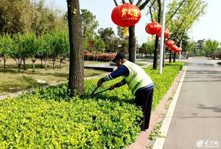 临沭县加强园林绿化养护，提升城市精细化管理工作水平