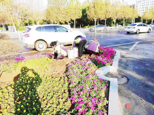 严冬送暖衣，城市添新姿——县园林中心为工人发放防寒工作服助力绿化管理