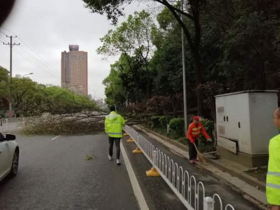 市城市绿化管理中心 清理倒伏树木 快速排除险情显担当