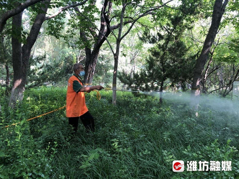 潍坊永久性绿地保护新规解读 城市绿化管理再升级