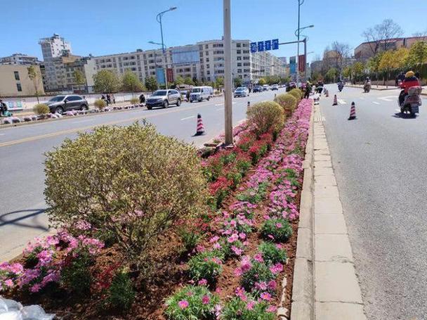 立足城市园林绿化实际,用足绣花功夫,把城市园林绿化管理落实到"细枝